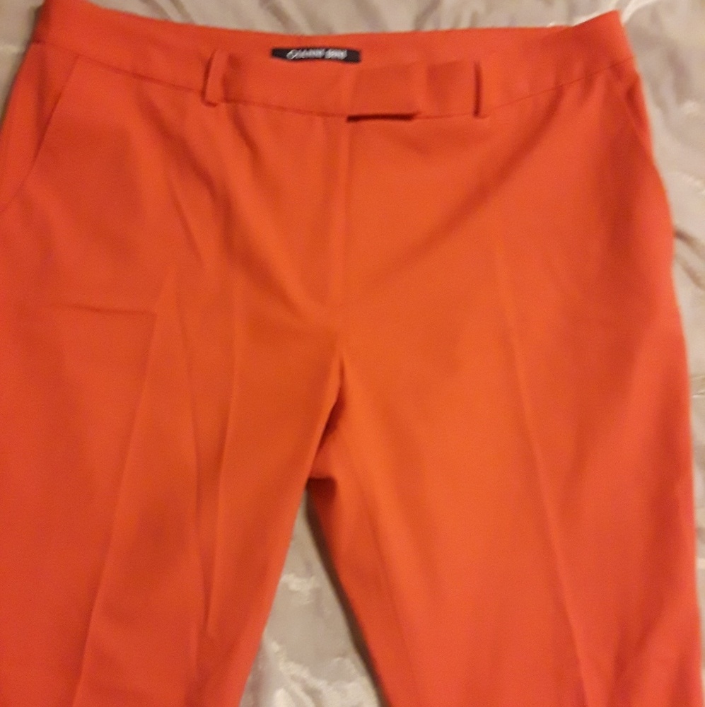 Gianni Bini Dress Slacks.  NWOT